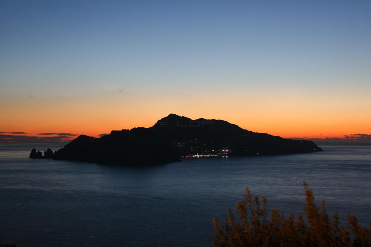 Esperidi Resort Sorrento Exteriör bild